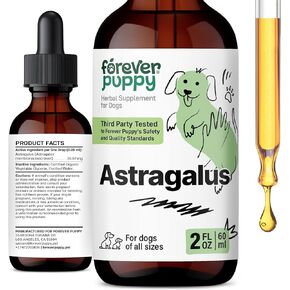 Astragalus Root Drops for Dogs - Astragalus Membranaceus Extract for Dogs' Immune Support - Herbal Pet Liquid Supplements for Immunity & Joyful Pet Care - 4 oz