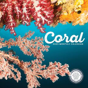 Coral | 2025 Coral Reef Wall Calendar | 12" x 24" | Marble City Press | Sea Ocean Reefs Diving Anemone Fish Conservation | Interactive Educational with QR Codes 2024-2025 Calendar