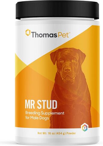 Thomas Pet Mr Stud - stud dog applement - يشجع الإثارة ، ويعزز القدرة على التحمل ، ويدعم الخصوبة - 16 أوقية ، مسحوق in Saudi Arabia