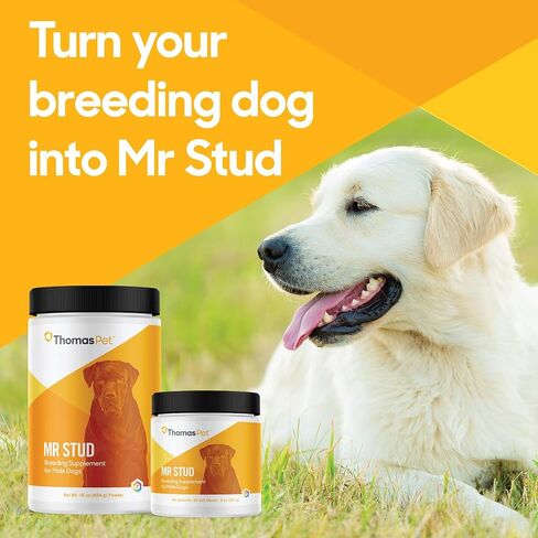 Thomas Pet Mr Stud - stud dog applement - يشجع الإثارة ، ويعزز القدرة على التحمل ، ويدعم الخصوبة - 16 أوقية ، مسحوق in Saudi Arabia