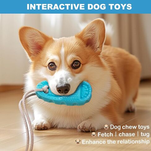 ألعاب الكلاب لمضغات كأس الكلب لعبة Tug of War Chew Toys لتسنين ألعاب Buppy Buppy Interactive للكلاب الصغيرة الصغيرة التي تجنها لعبة الشباك in Kuwait
