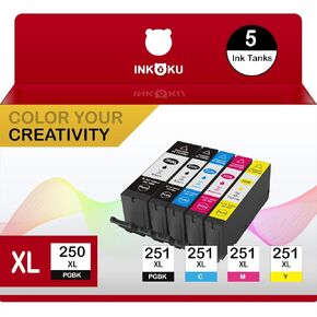 250XL 251XL Compatible for Canon 250 and 251 Ink Cartridges PGI-250XL CLI-251XL Work with Canon PIXMA MX922 MX722 MG5420 MG5520 MG5620 MG6320 MG7120 IP8720 (5 Combo Pack)