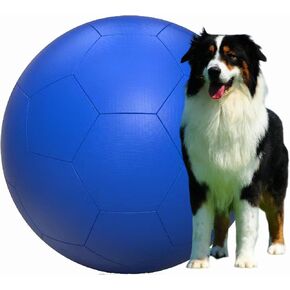Herding Ball for Dogs Large 25 in Blue (25inb)