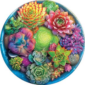 Ceaco - A Circle of Succulents - 500 Piece Round Jigsaw Puzzle