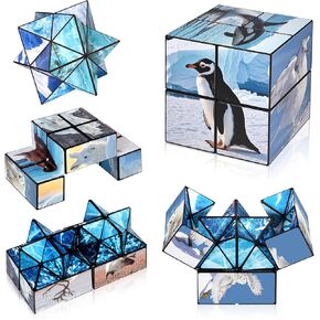 Euclidean Cube 2 in 1 Magic Cube Set, Infinity Cube Fidget Toy for Kids Adults, Yoshimoto Cube for Ages 8-12, Arctic/Antarctic Animals Puzzle Cube Fun Toy for Boys Girls (Polar Series)