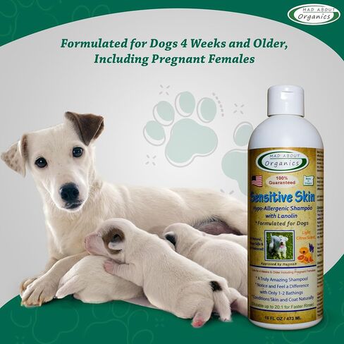 Dog Shampoo for Sensitive Skin - Lanolin-Enriched Formula - pH Balanced to Support Natural Oils - Light Citrus Scent - Suitable for All Dogs - Moisturizes and Softens Coats - 16 oz in Saudi Arabia