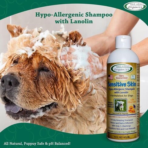 Dog Shampoo for Sensitive Skin - Lanolin-Enriched Formula - pH Balanced to Support Natural Oils - Light Citrus Scent - Suitable for All Dogs - Moisturizes and Softens Coats - 16 oz in Saudi Arabia