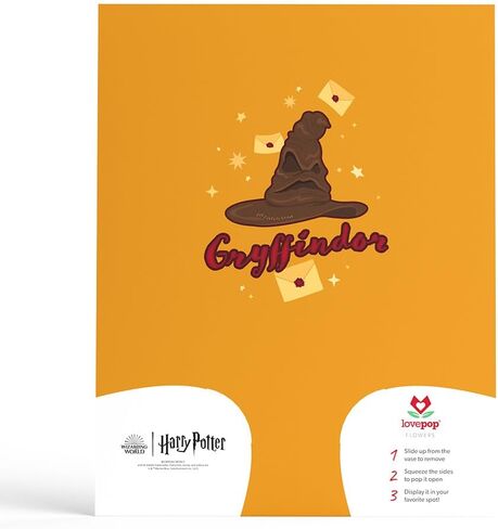 Lovepop Everyday Pop-Up Harry Potter Paper Flower Bouquet for Her and Him - Hedwig Flower Buds Bouquet for Boys, Girls, Men, Women - 12" Bouquet - Blank Note Card Included in Saudi Arabia