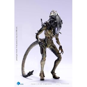Hiya Toys Exquisite Mini Series 1/18 Scale 6 Inch AVPR Predalien Action Figure Multicolor
