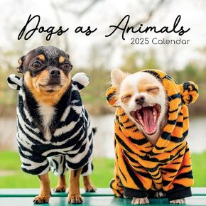 The Gifted Stationary 2025 Square Wall Calendar, Dogs as Animals, 16-Month Humor Theme Hanging Calendar with 180 Reminder Stickers, Month Planner for Home or Creative Spaces, 12x12 In