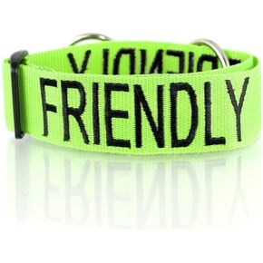 Friendly (Known as Friendly to All) Green Colour Coded Wide L-XXL Semi-Check Dog Collar Prevents Accidents by Warning Others of Your Dog in Advance