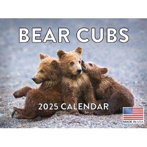 Baby Bear Calendar 2025 Monthly Wall Calender | American Made In The USA