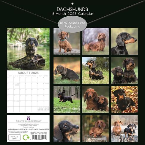 تقويم الجدار الموهوب 2025 المربع ، dachshund ، يطبع بوب مدته 16 شهرًا مع 180 ملصق تذكير ، مخطط شهر للمنزل ، أو المساحات الإبداعية ، 12x12 في in Kuwait