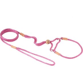 Alvalley Martingale Dog Leash with Collar - Soft, Nylon Leash for Dogs - Comes with Tagua Bead Stopper - Perfect for Small, Medium Dogs - Suitable for Training & Walking