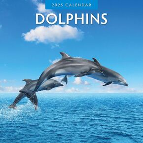Red Robin 2025 Dolphins Monthly Wall Calendar | 12" x 24" Open | Premium Thick & Sturdy Paper | Hangable 12 Month Calendar | Plastic Free | 4 Month Transition Page for 2024