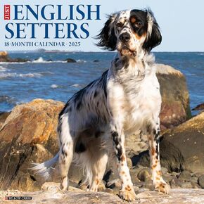 Willow Creek Press English Setters Monthly 2025 Wall Calendar (12" x 12")