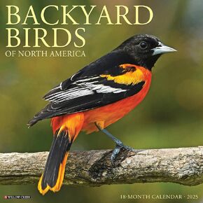 Willow Creek Press Backyard Birds Monthly 2025 Wall Calendar (12" x 12")