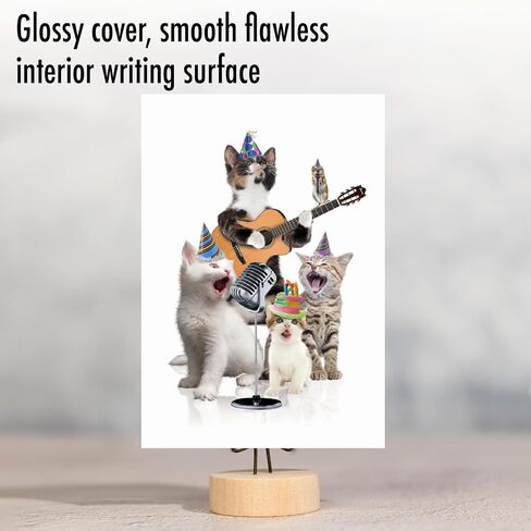 NobleWorks - Kittens Birthday Greeting Card with 5 x 7 Inch Envelope (1 Card), Fun Animal Bday Celebration - Animal Bands - Cats C9508GBDG in Saudi Arabia
