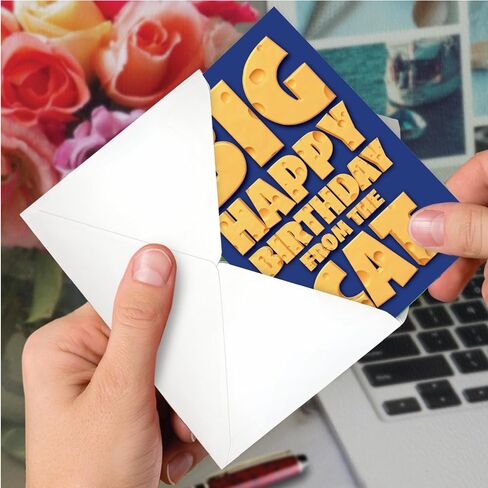 NobleWorks - Kittens Birthday Greeting Card with 5 x 7 Inch Envelope (1 Card), Fun Animal Bday Celebration - Animal Bands - Cats C9508GBDG in Saudi Arabia