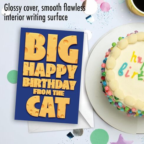 NobleWorks - Kittens Birthday Greeting Card with 5 x 7 Inch Envelope (1 Card), Fun Animal Bday Celebration - Animal Bands - Cats C9508GBDG in Saudi Arabia
