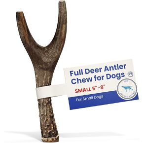 The Proper Hound® Jumbo Whole Deer Antler for Dogs [Long Lasting] - Deer Bones for Dog Humanely Sourced - Deer Antlers for Large Dogs - Deer Horns for Dogs - Real Deer Antlers 10 to 15 Inches