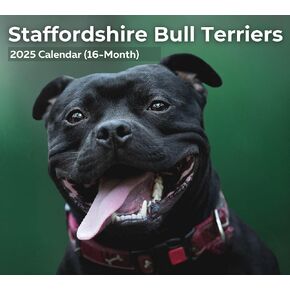 2025 Staffordshire Bull Terriers Deluxe Wall Dog Breed Calendar | Cute Staffy Puppies | 12" x 13.3" | Plastic Free | 16-Month | Plastic Free | Home & Office Organizer | Monthly View | Major Holidays