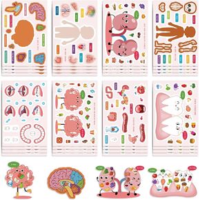 24 Sheets Make Your Body Organs Stickers for Kids, Cute Cartoon Waterproof Educational Stickers for Learning Human Anatomy