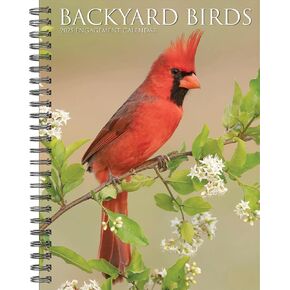 Willow Creek Press Backyard Birds Softcover Weekly Planner 2025 Spiral-Bound Engagement Calendar (6.5" x 8.5")