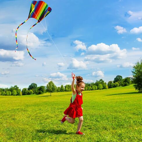 HENGDA KITE for Kids&Adults Rainbow Parafoil Kite with Long Tail,with 700 Feet Kite Reel String, Easy to Fly, Suitable for Children to Play, do not Need to Assemble，Perfect for Beach Fun in Saudi Arabia