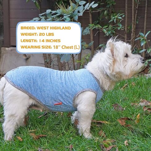 KYEESE 2 Pack Dog Shirts Quick Dry Soft Stretchy Dog T-Shirts with Reflective Label Tank Top Sleeveless Vest Sun Protection Dog Clothes for Small Dogs, Large, Light Blue+Grey in Kuwait