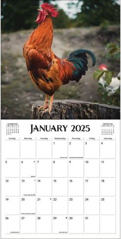 TURNER PHOTOGRAPHIC On The Farm 12x12 Photo Wall Calendar (25998940039) in Kuwait
