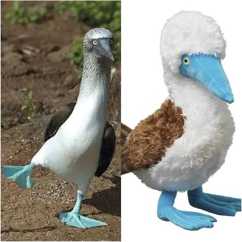 Tiny Heart Simulation Blue Footed Booby Plush Toy, 10.62inch Super Soft and Cute Blue Footed Booby Stuffed Animal Toys Fun Kids Gift Home Decor in Saudi Arabia