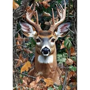 AIRDEA Diamond Art Paintings Kits for Adults,Deer Diamond Art Kits for Adults,12x16 Inch DIY Diamond Art Paintings Kits Animals in The Forest,Diamond Art Painting Set for Beginner
