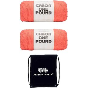 Caron One Pound Calming Collection Living Coral 2940020-2003 (2-Skeins - Same Dye Lot) Worsted Medium #4 Acrylic Yarn for Crocheting and Knitting with Project Bag