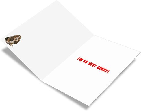 NobleWorks - I'm Sorry Greeting Card with Envelope - Funny Forgive Me Notecard - Terrible Mistake C7220SRG in Kuwait