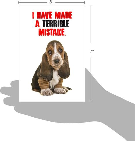 NobleWorks - I'm Sorry Greeting Card with Envelope - Funny Forgive Me Notecard - Terrible Mistake C7220SRG in Kuwait