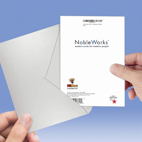 NobleWorks - I'm Sorry Greeting Card with Envelope - Funny Forgive Me Notecard - Terrible Mistake C7220SRG in Kuwait
