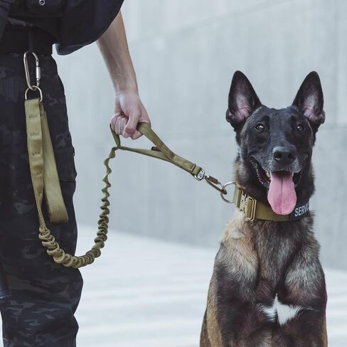 EXCELLENT ELITE SPANKER Tactical Dog Collar Military Adjustable Dog Collar Heavy Duty Dog Collar with Metal Buckle and Control Handle(Black) in Kuwait