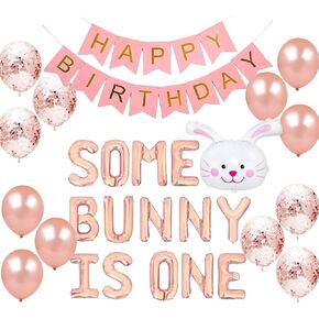 Some Bunny Is One First Birthday Party Supplies, Some Bunny is One Balloons Happy Birthday Banner for Spring Easter Rabbit Themed Baby Girls 1st Bday Baby Shower Decorations Set of 28 PCS