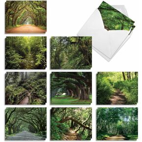 The Best Card Company - 20 Landscape Nature Note Cards Blank (4 x 5.12 Inch) (10 Designs, 2 Each) - Shining Through AM1735OCB-B2x10-NB