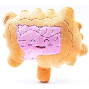 nerdbugs Intestine Plush- Intestined for Greatness-Colon/Intestine Plush Organ Toy for IBS, Colitis, Crohns and GI Support Plush/Health Education Gift/Surgery Gift/Gastroenterology get Well Gift