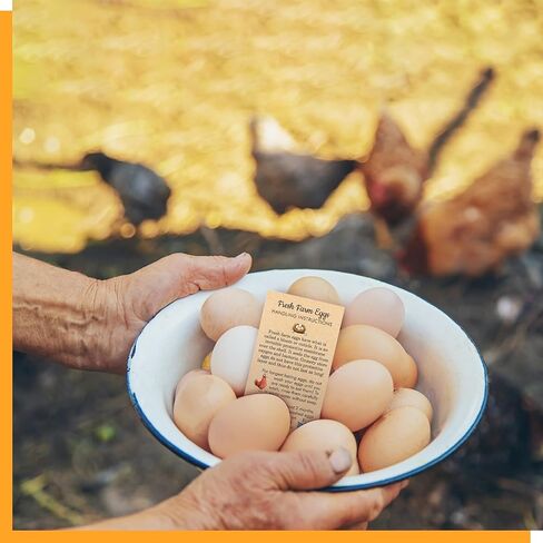 200 PCS Fresh Farm Egg Handling Instruction Cards, Double-sided Printing Egg Carton Stamp Bulk with Washed/Unwashed Fresh Egg Care Accessories Card Labels for Farm Fresh Eggs (3.5" x 2") in Kuwait