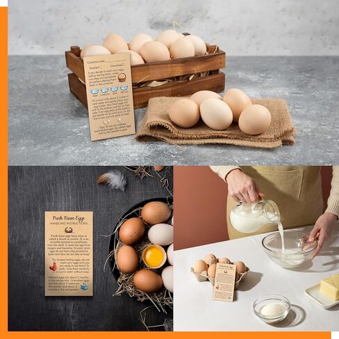 200 PCS Fresh Farm Egg Handling Instruction Cards, Double-sided Printing Egg Carton Stamp Bulk with Washed/Unwashed Fresh Egg Care Accessories Card Labels for Farm Fresh Eggs (3.5" x 2") in Kuwait