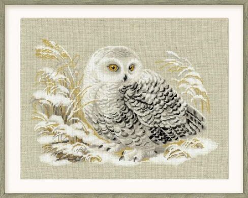 Riolis - White Owl 1241 ، Cross Stitch Kits 17،72 "x13،78 ، Cross Stitch Kits للمبتدئين ومجموعات المبتدئين ، مجموعات غرزات محسوبة ، مجموعة تطريز. in Kuwait