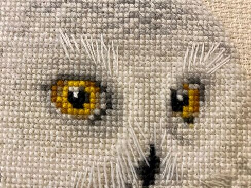 Riolis - White Owl 1241 ، Cross Stitch Kits 17،72 "x13،78 ، Cross Stitch Kits للمبتدئين ومجموعات المبتدئين ، مجموعات غرزات محسوبة ، مجموعة تطريز. in Kuwait
