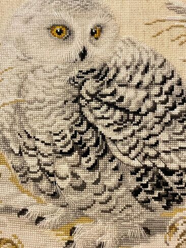 Riolis - White Owl 1241 ، Cross Stitch Kits 17،72 "x13،78 ، Cross Stitch Kits للمبتدئين ومجموعات المبتدئين ، مجموعات غرزات محسوبة ، مجموعة تطريز. in Kuwait