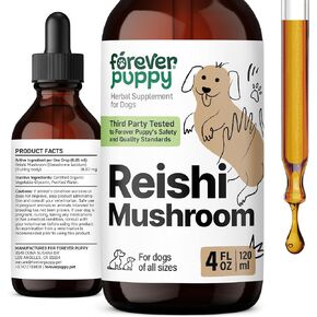 قطرات الفطر Reishi للكلاب - مكمل الدعم المناعي - قطرات سائل الفطر الأحمر ريشي - مكملات غذائية للكلاب والفيتامينات - جميع السلالات والأحجام - خالية من السكر والكحول - 2 أوقية