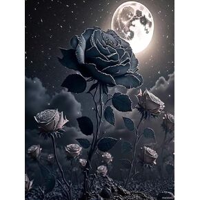 HMDIIMGE 5D Full Diamond Diamond Art Painting, Diamond Art Painting for Beginners and Adults, DIY Home Decoration Diamond Painting, Black Rose in Moonlight 12x16 inch
