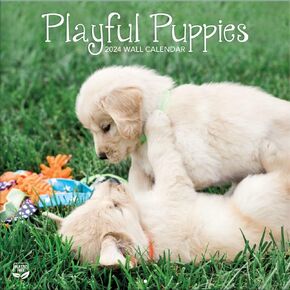 TURNER PHOTOGRAPHIC Playful Puppies 12x12 Photo Wall Calendar (25998940045)