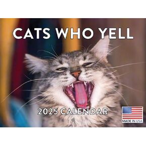 Cats Who Yell Calendar 2025 Monthly Wall Calender 12 Month | American Made In The USA